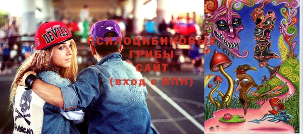 PSILOCYBIN Аркадак