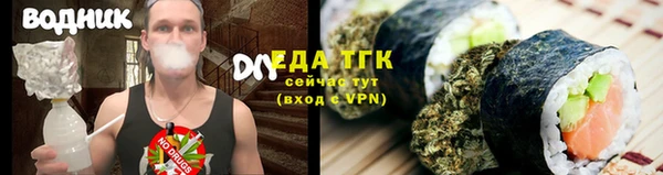 PSILOCYBIN Аркадак