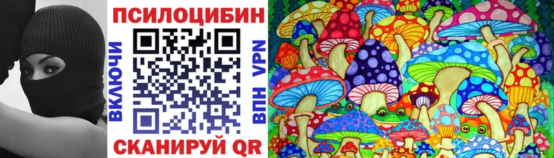 Купить где  Братск  Галлюциногенные грибы GOLDEN TEACHER 
